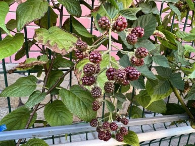 ��������� � �������: ��� ������ � ���� ������� ����?