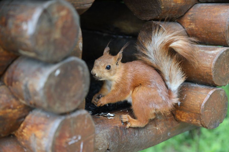 ����� 12 ��� ������ �������� ����� �� �������� ����� ������� ������� ��������� - ������� ��������� �����