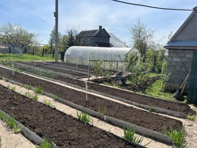 Как нашатырный спирт помогает защитить урожай от вредителей