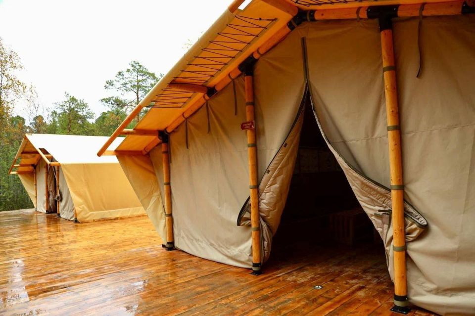 ����� 12 ��� ������ �������� ����� �� �������� ����� ������� ������� ��������� - ������� ��������� �����