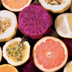 ��� ����� ����� � ��������: �����, ������� ������� �����������