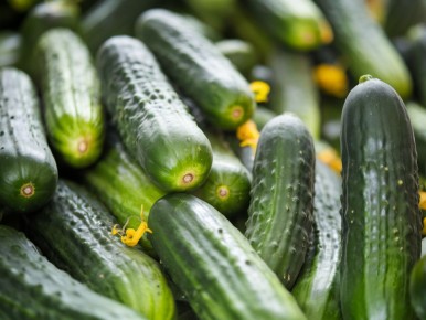 ��� ������ ������ � ����: ����������� ������ ��� ������� ������