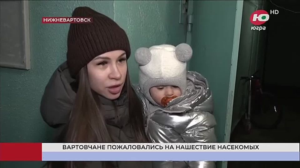 ��������������� � �������������� ��������� ������� ���������