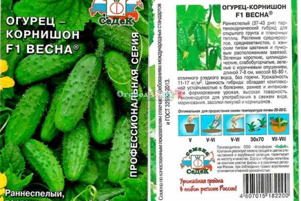 ������ �����: ��������� ����� ��� ������ �������