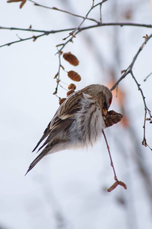 ������� �� ������ ������ ������ ��, ��� ������ ����������� �� �����