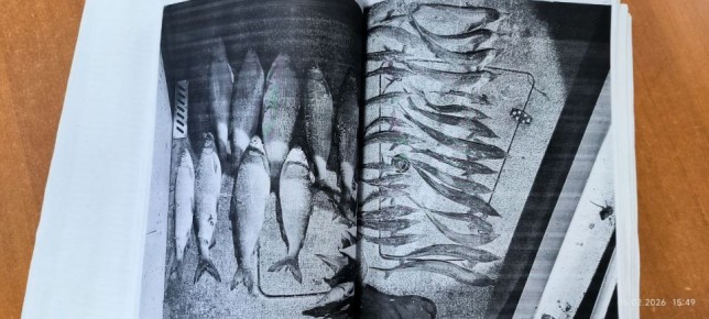 ������ �������������� �������� 18,5 ��� ������ � ���������� 250 ����� �� ���������� ������ ������ ����