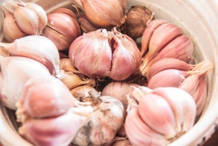 ������ ����� �������� ������ ��� �������