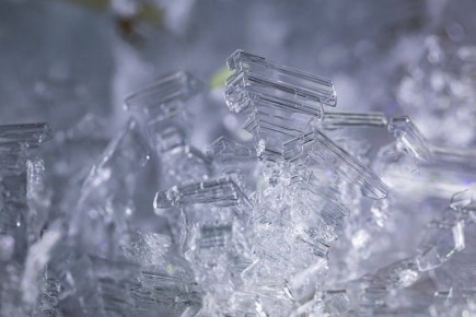 ������� � ������, ������� ����� ����