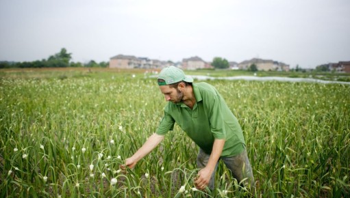 ������ ��� �� ������, �� ��� �������� �� �������: ��� ���� ��� �� �������