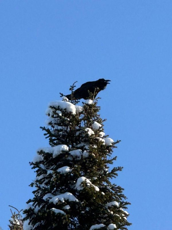 ����� ���������� �����������, ����� ����� ������������ � ��������!