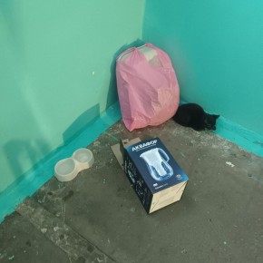 ������ ��������� ������ � ������ �� ����