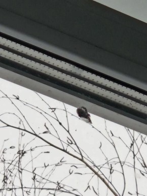 �������� �� ����� �� ���������� �� ����������, 5�