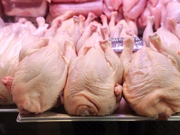 ���� �� ������ ��� ������� ����� �������� ����������