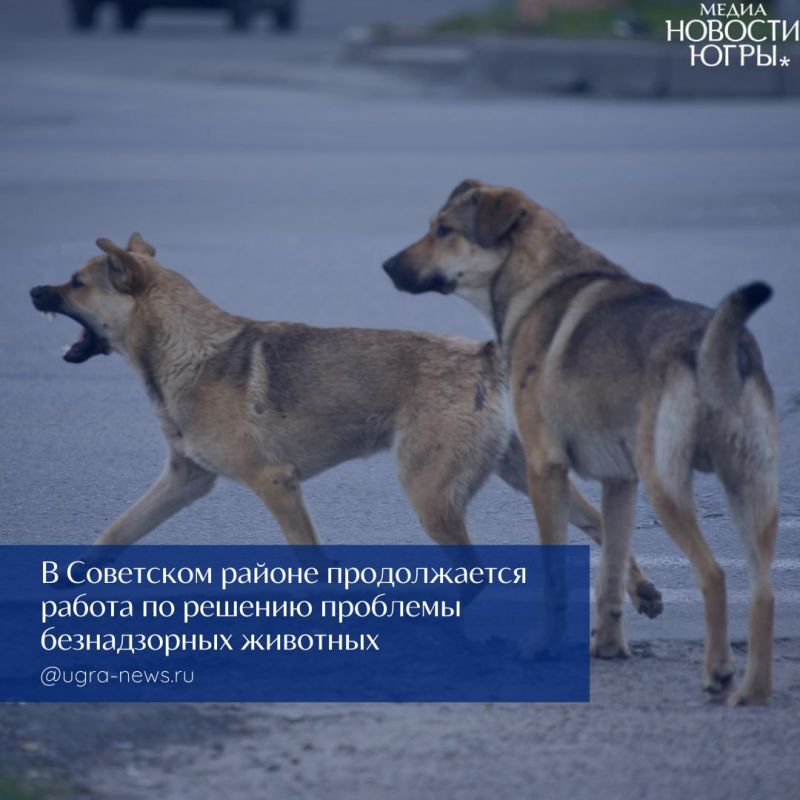 � ��������� ������ ���������� ����� ��������� �����