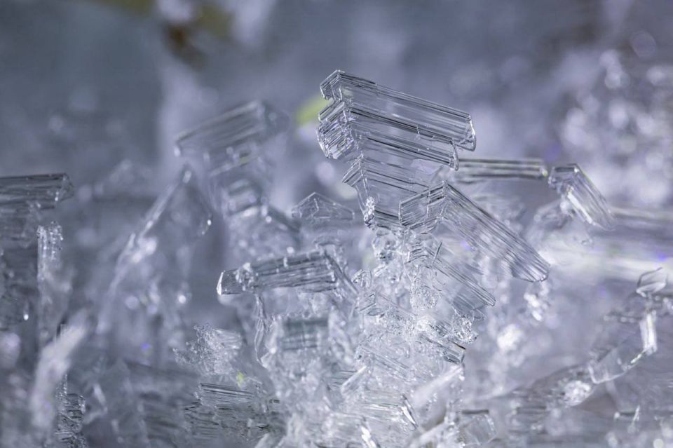 ������� � ������, ������� ����� ����