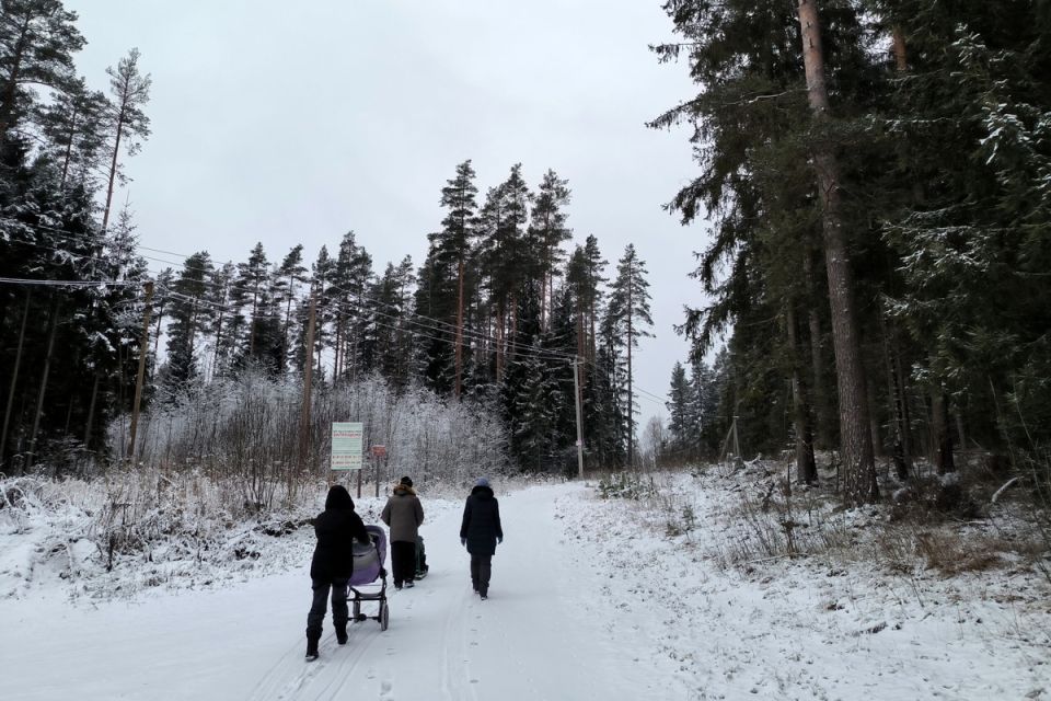 ��������� ���������: ����� ����� ����� �������� ������������ ������