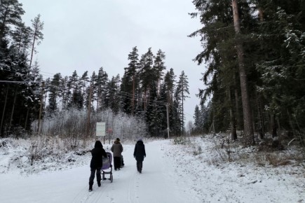 ��������� ���������: ����� ����� ����� �������� ������������ ������