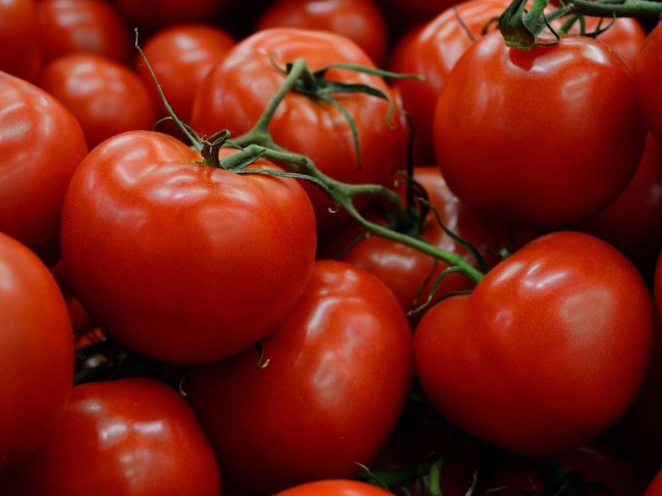 ������ ���������: ��� ����� �����, ����� ��������� ������ ������