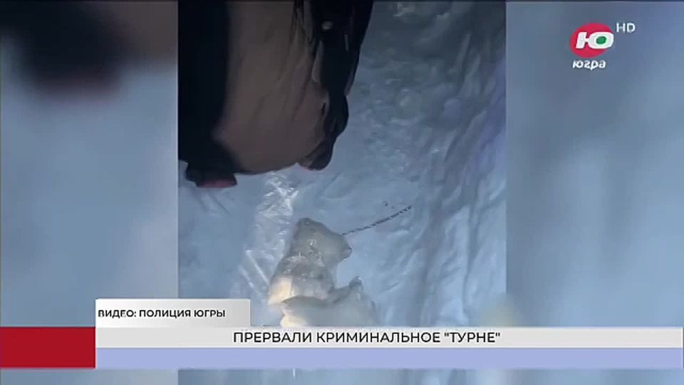 ������� ���� ��������� ������������ � 4 ������������ �������������� ���������