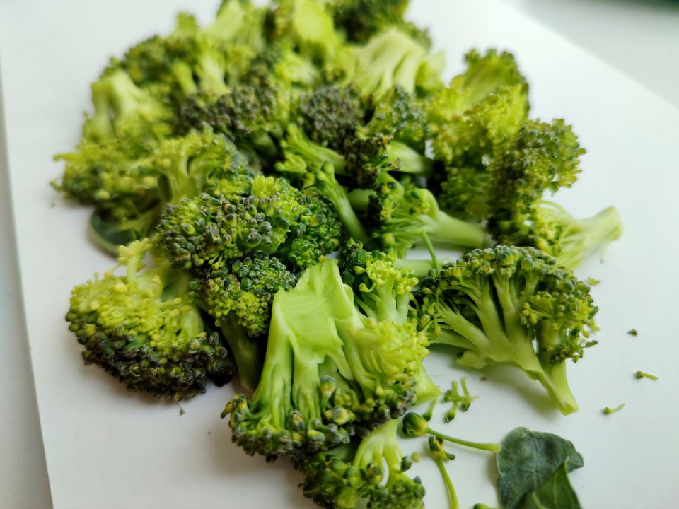 ����� � ��������: ������ � ������ ������� �� ����� ����