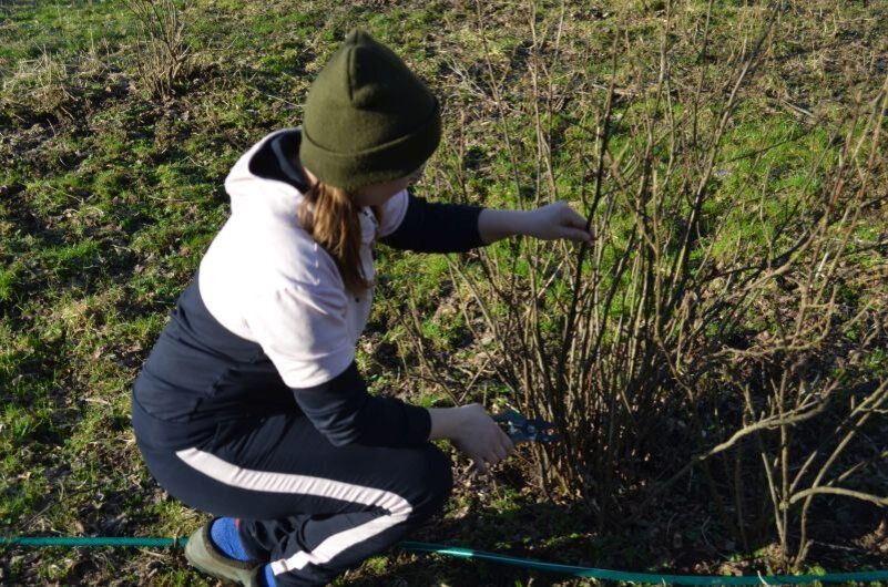 ������� ������ ���������: ��� ��������� �� ��������, ��������� ���� � ������ ��������