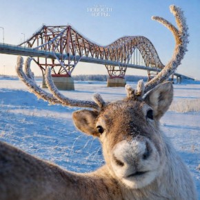 ���� ��������� �������, ��� ����� ������� ������ ���� �������� ������