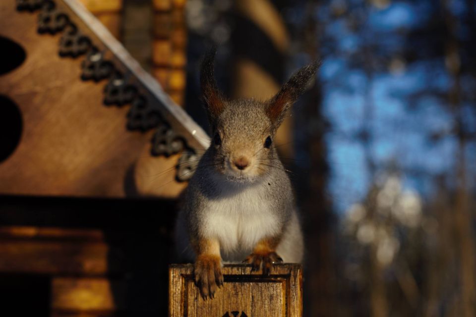 ����� �� ������ ������ ��, ��� � ��� ����, � �� ���� � ������ �������, ����� ��-���������� ������� �����������