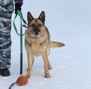 � �������������� ��� �������� �������, �������� �������������� ������, ���� ����� ���