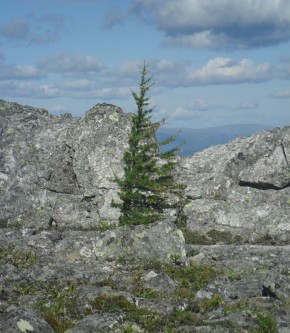 ���������� �������� ���� �� ������� ����� ���������� ��������� ����������