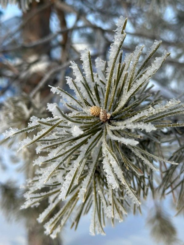 �������� ������� � ��� ������ ������������ �������� ���������