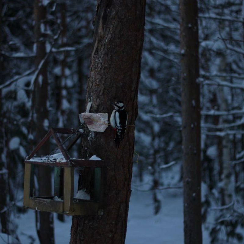 ����� - ��� ���������� �����������, ������� ����� ������������ ������ ����