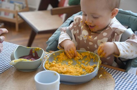 �������� � ������������: ��������� �� ������� ����������� �������