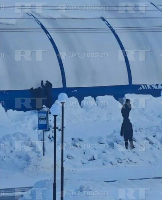 ���� ����� ������ ����� �� ������� � ������� (����), ��� ������� ��������� ��������