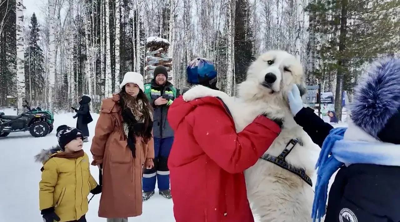 «Северный ветер» впервые в Нижневартовске «Северный ветер» впервые в Нижневартовске