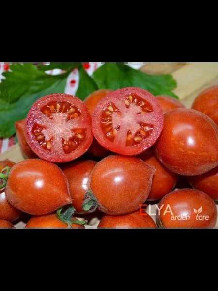 ����� ���� ����: ������� ����������� ����� � �������� ��������