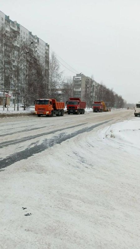 �������, 15 �������, ������������ ������ ���������� ���������� ������� ������-�������� ���� �������������� � ����� �����