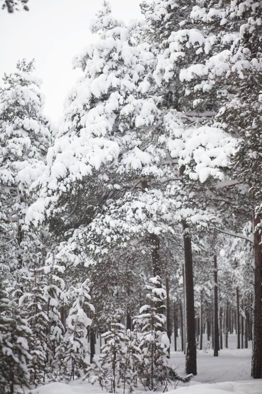 ����� ����������� ��������, �� ����� �������� ���� ������� � ����� � ��� ������ ���� ���������