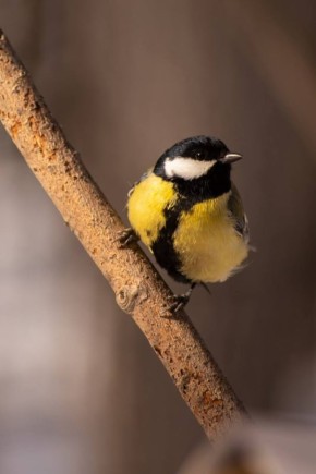 Солнце встает не для того, чтобы разбудить нас, а чтобы напомнить, как прекрасен свет
