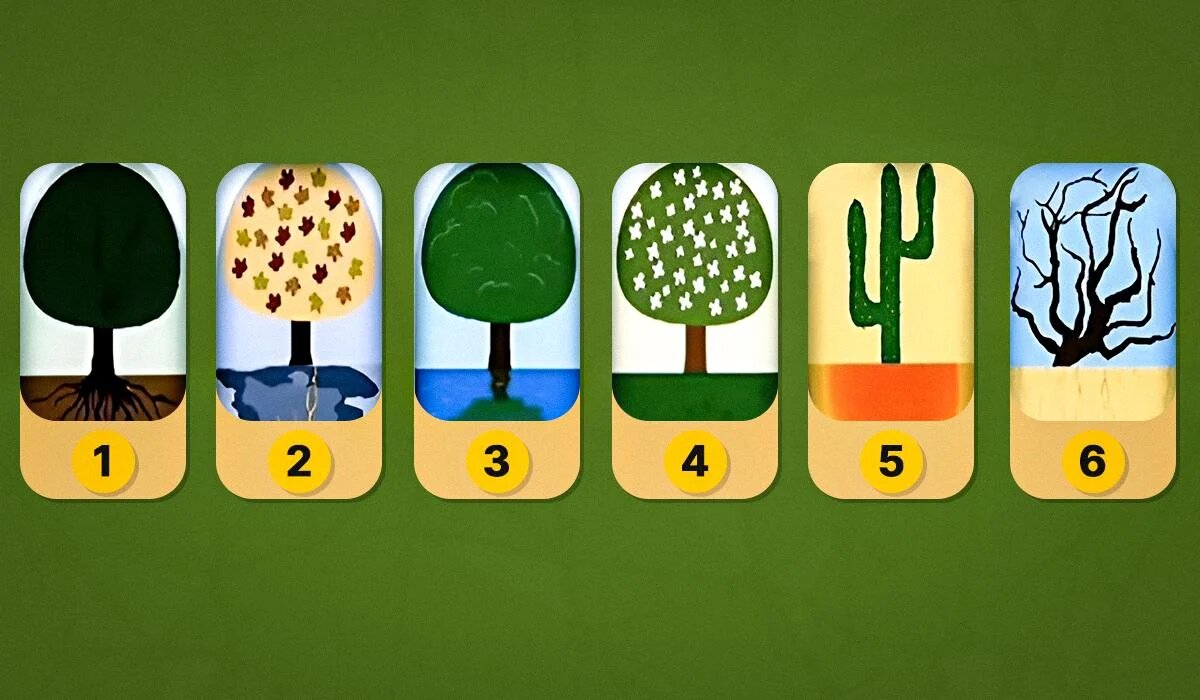 Как деревья открывают нашу личность: необычный психологический тест