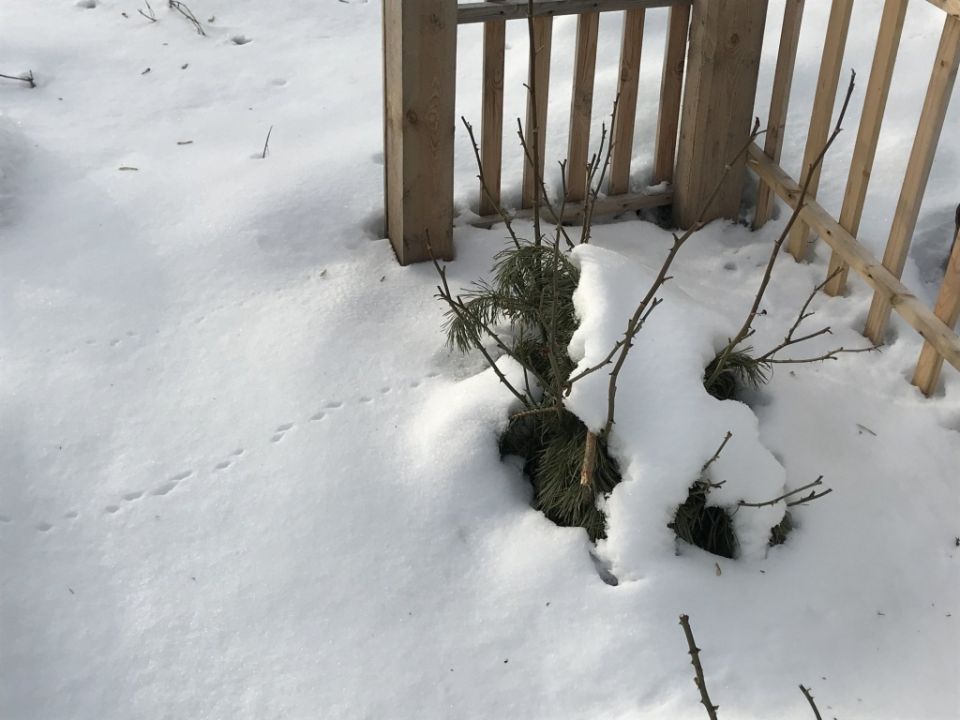 ��� �������� ������� �� ��������