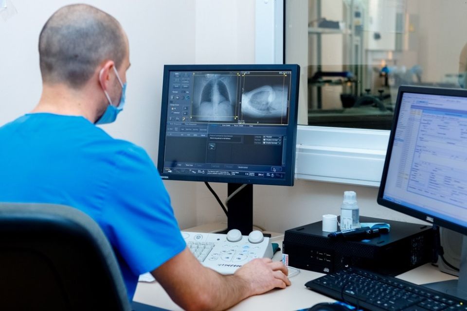 �����-�������� ��������� � ��������: 238 ������� ������ ������������ �� ������������ ����������