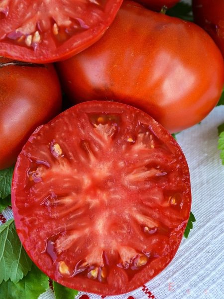 Томат Сластена: сладость и простота ухода как главные преимущества