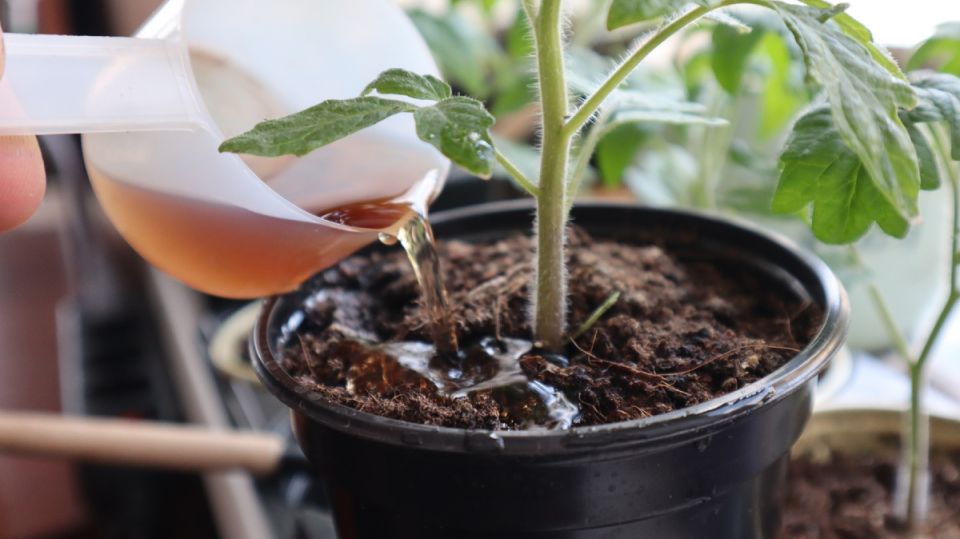 ��� �������� ������� ��� ��������� ������� �������