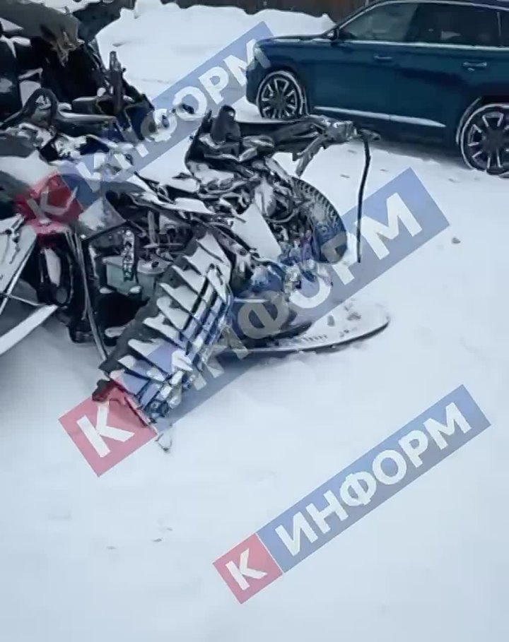 В Югре волонтёры спасают собаку, выжившую в смертельном ДТП