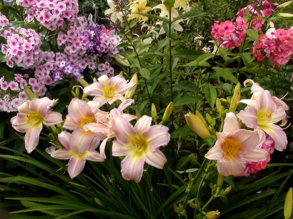 ������: 6 ������� ������, ����� ������������ ������������ � ������� �������