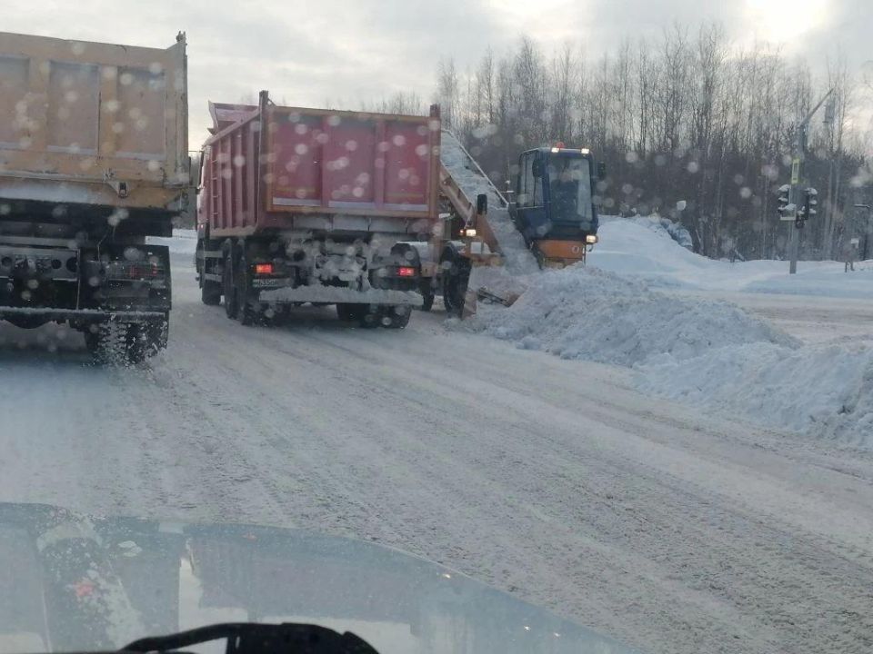 11 000 ���������� ����� ������� �� ������ �� �����, �������� � ������������ ��� ����� �������� ����������