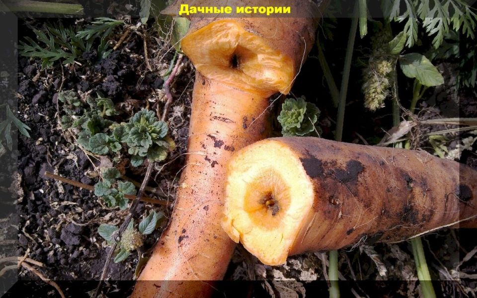 ����������� ������ ������ � ������������� � ������� �� ����