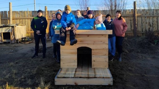 Нефтехимическая компания спасает деревья Югры и Ямала благодаря рациональному использованию ресурсов