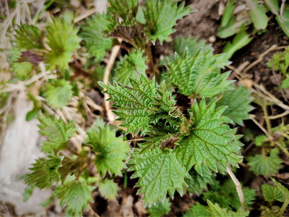 �������: ������������� �������� ��� ������� � ����