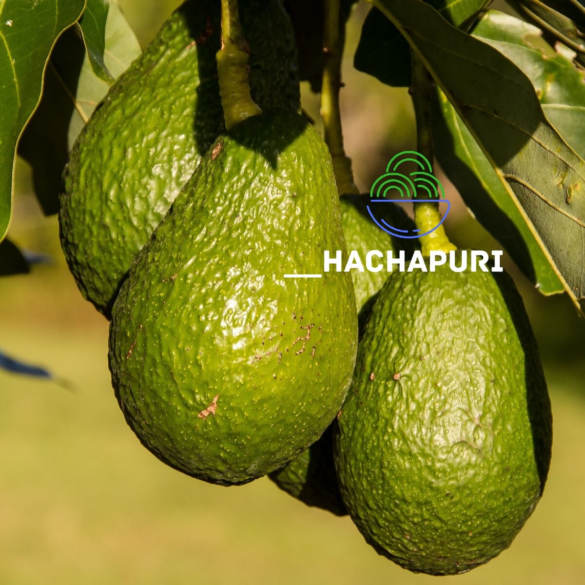 Необычные лайфхаки с авокадо, о которых вы не подозревали